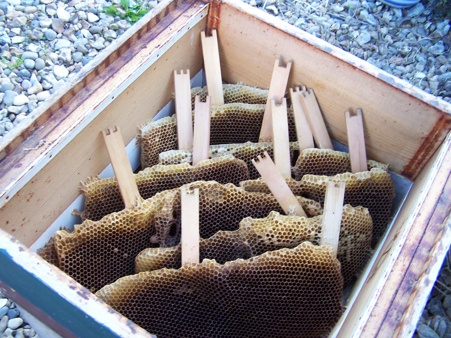 seperating combs with wooden strips