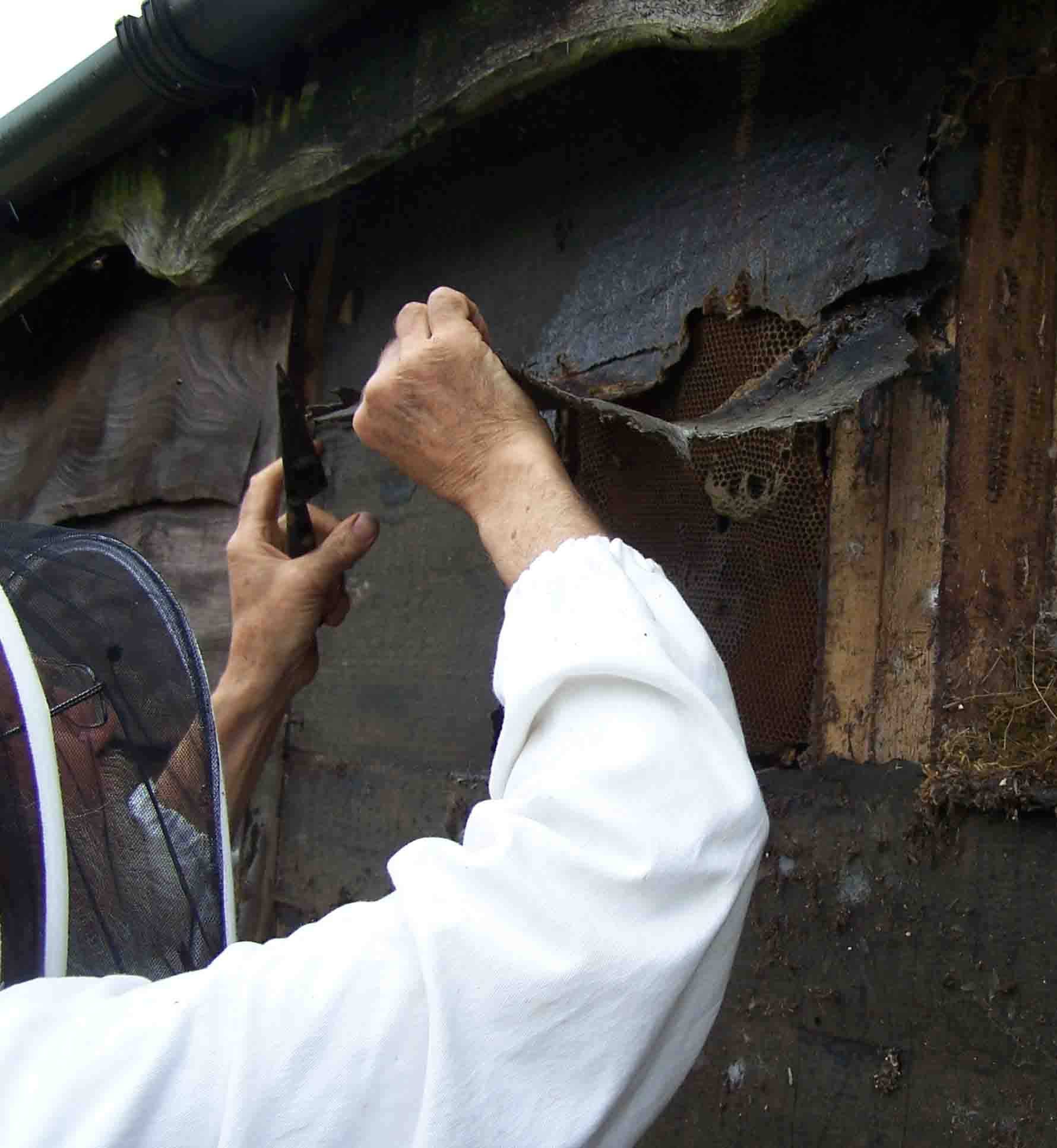 opening up the wall